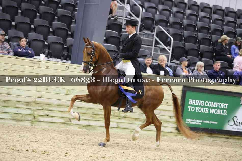 Proof 22BUCK_06838