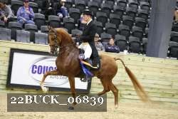 22BUCK_06839 proof