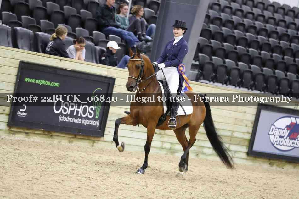 Proof 22BUCK_06840