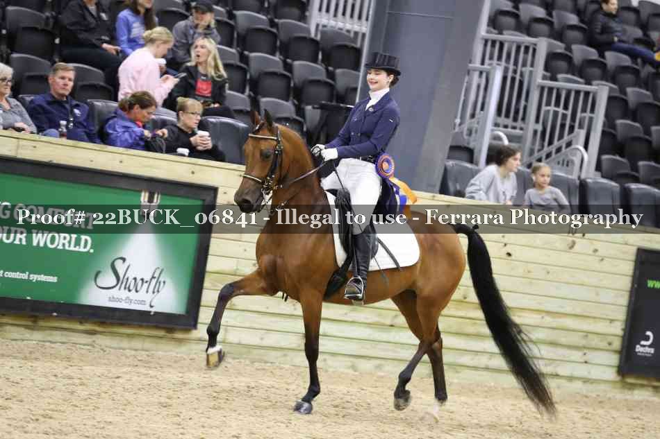 Proof 22BUCK_06841