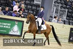 22BUCK_06841 proof