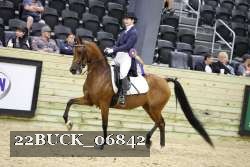 22BUCK_06842 proof