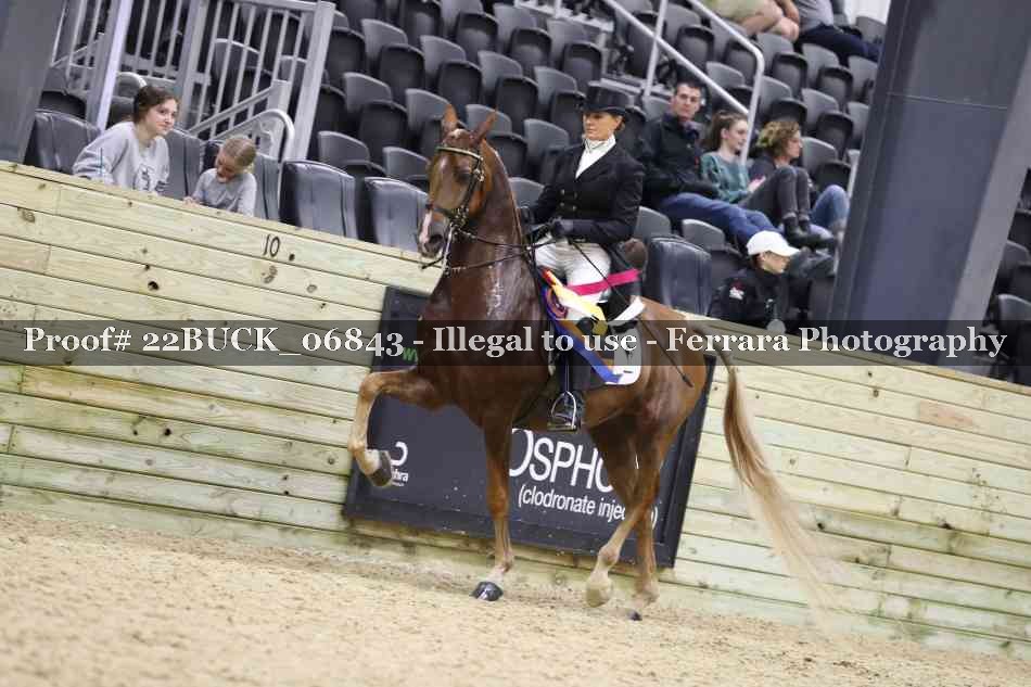 Proof 22BUCK_06843