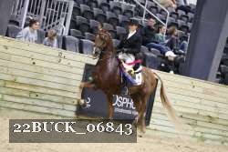 22BUCK_06843 proof