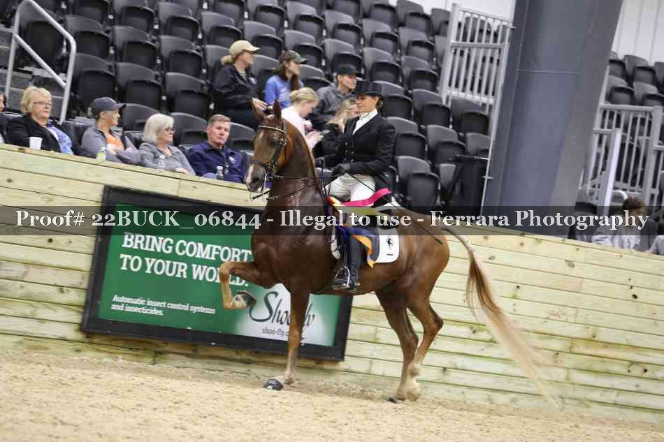 Proof 22BUCK_06844