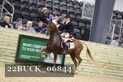 22BUCK_06844 proof