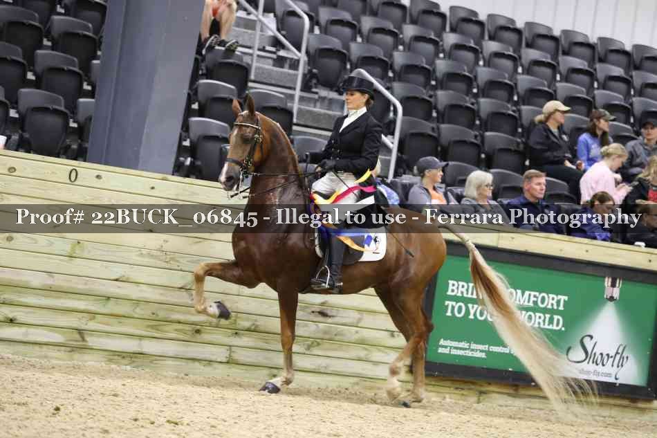 Proof 22BUCK_06845
