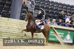 22BUCK_06845 proof