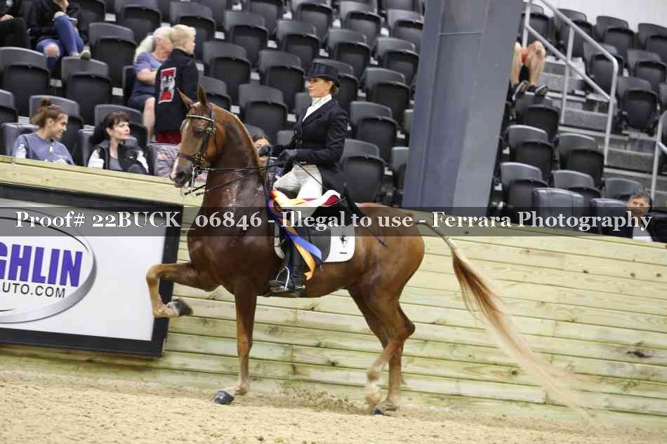 Proof 22BUCK_06846