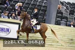 22BUCK_06846 proof