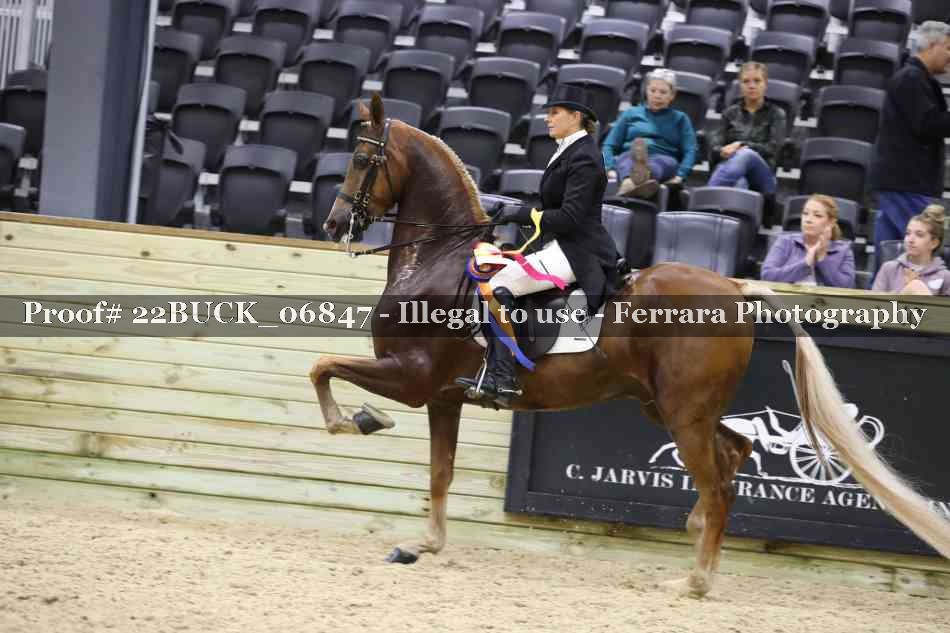 Proof 22BUCK_06847