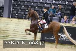 22BUCK_06847 proof