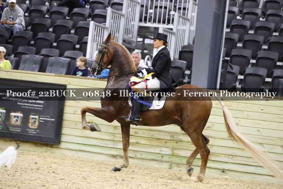 Proof 22BUCK_06848