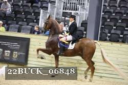 22BUCK_06848 proof