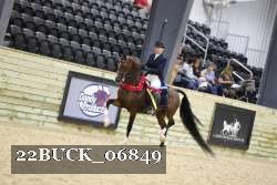 22BUCK_06849 proof