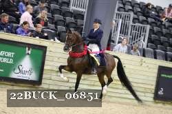 22BUCK_06851 proof
