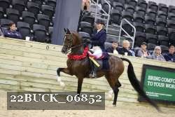 22BUCK_06852 proof