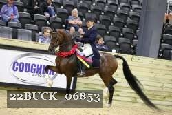 22BUCK_06853 proof