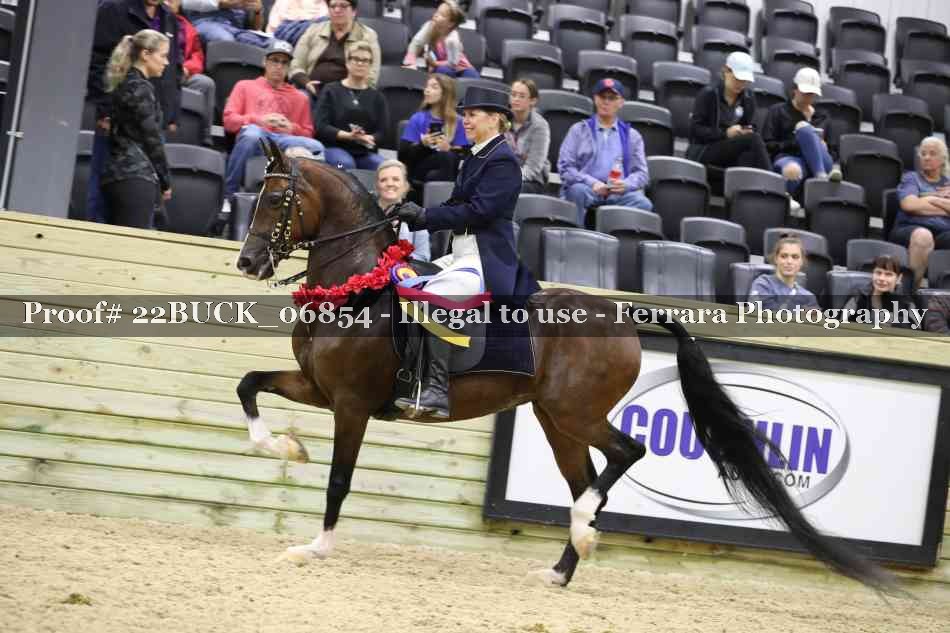 Proof 22BUCK_06854