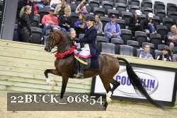 22BUCK_06854 proof