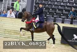 22BUCK_06855 proof