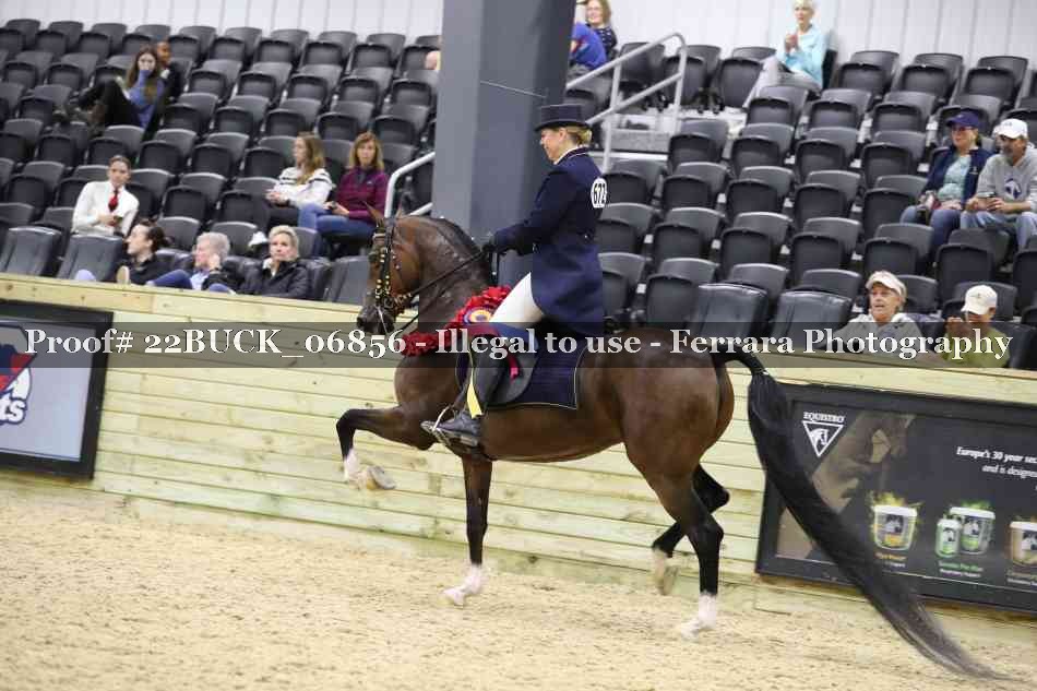 Proof 22BUCK_06856