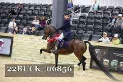 22BUCK_06856 proof