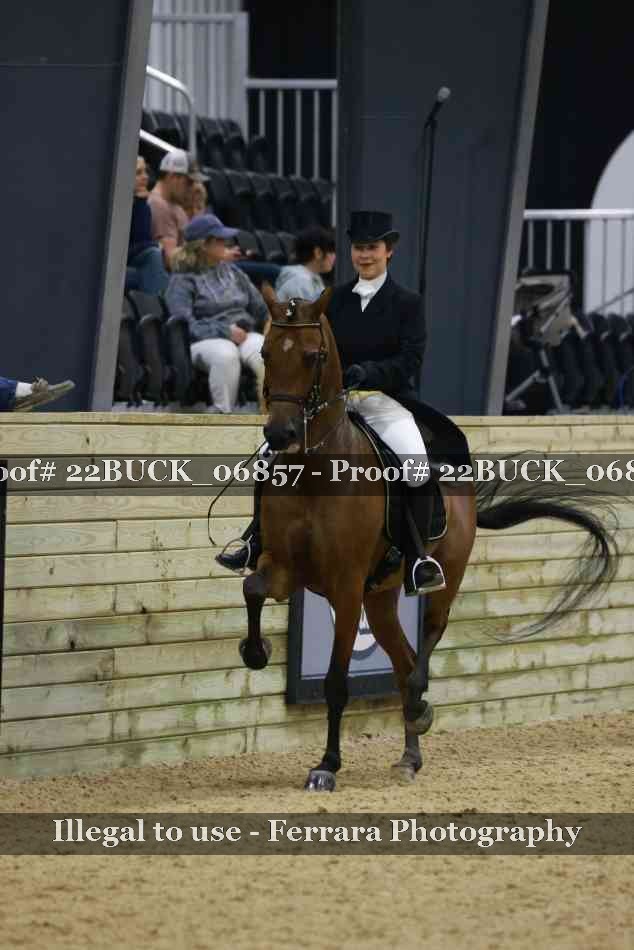 Proof 22BUCK_06857