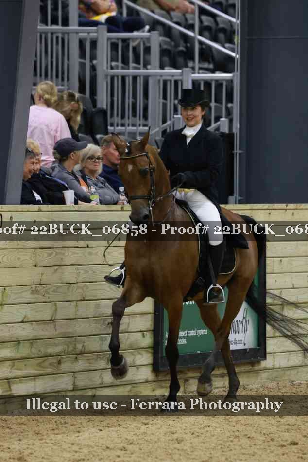 Proof 22BUCK_06858