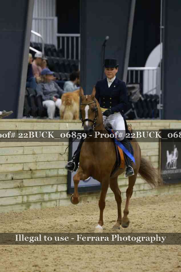Proof 22BUCK_06859