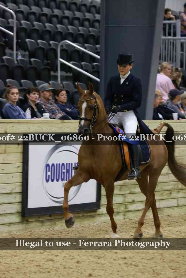 Proof 22BUCK_06860