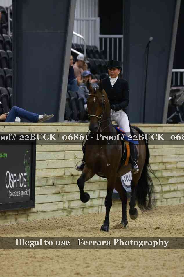 Proof 22BUCK_06861