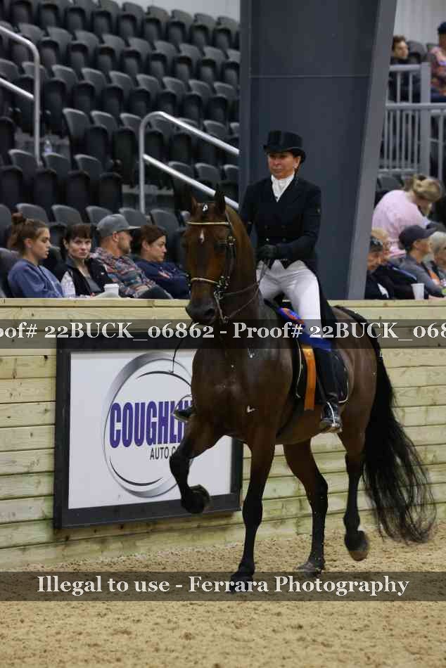 Proof 22BUCK_06862
