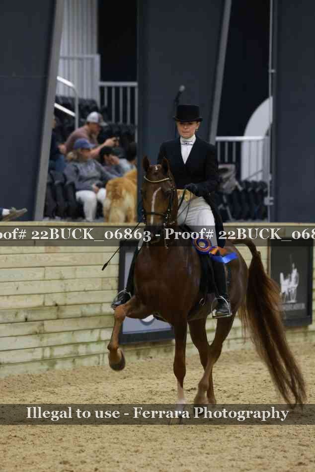 Proof 22BUCK_06863