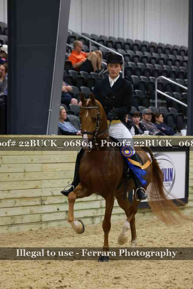 Proof 22BUCK_06864