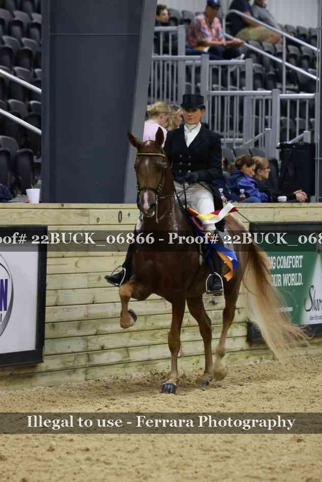 Proof 22BUCK_06866