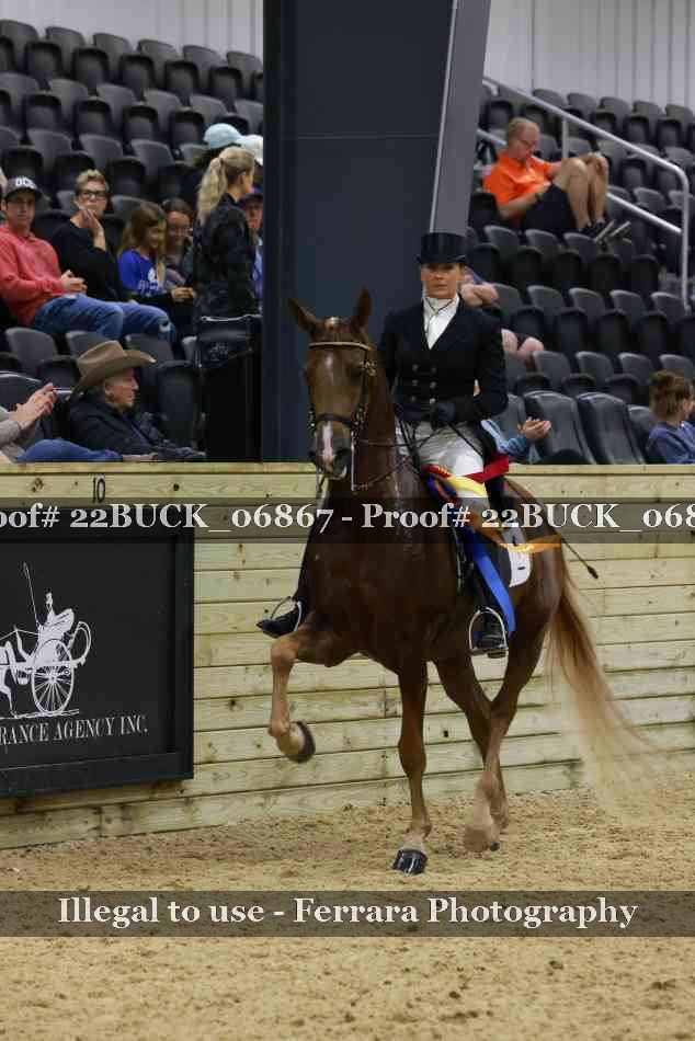Proof 22BUCK_06867