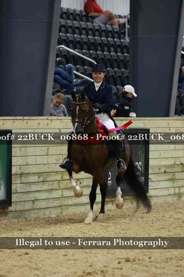 Proof 22BUCK_06868