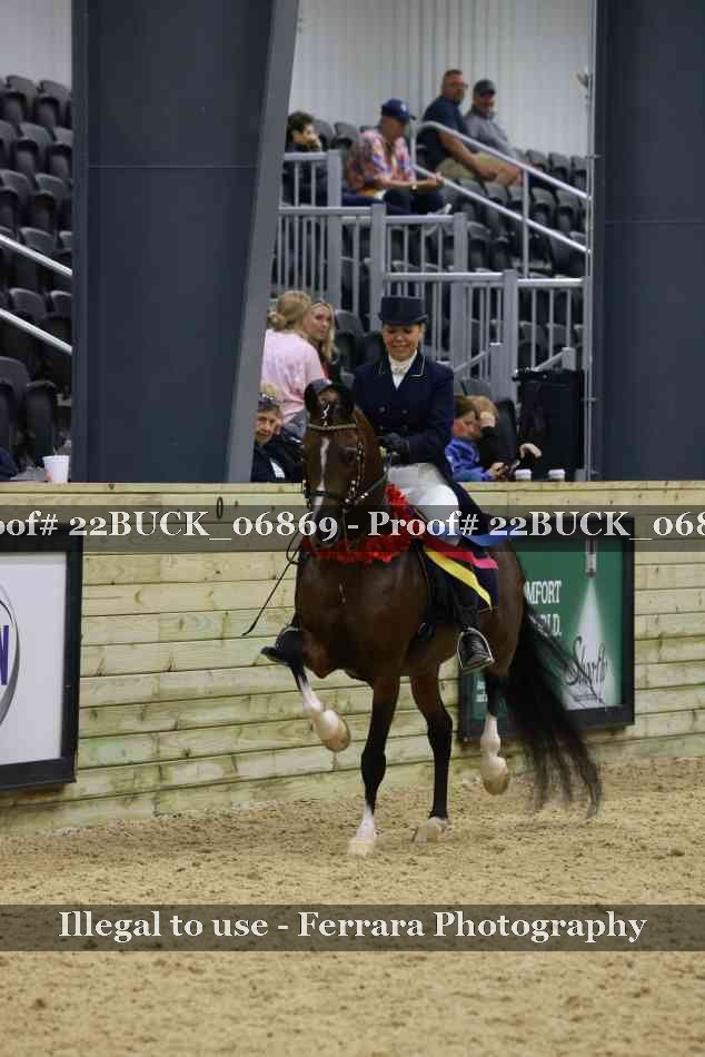 Proof 22BUCK_06869