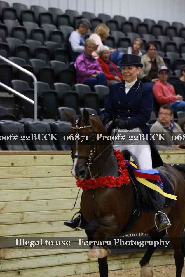 Proof 22BUCK_06871
