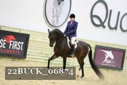 22BUCK_06874 proof