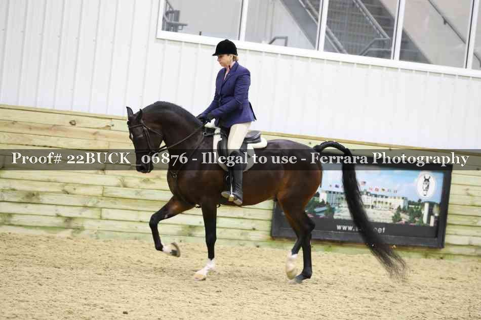 Proof 22BUCK_06876