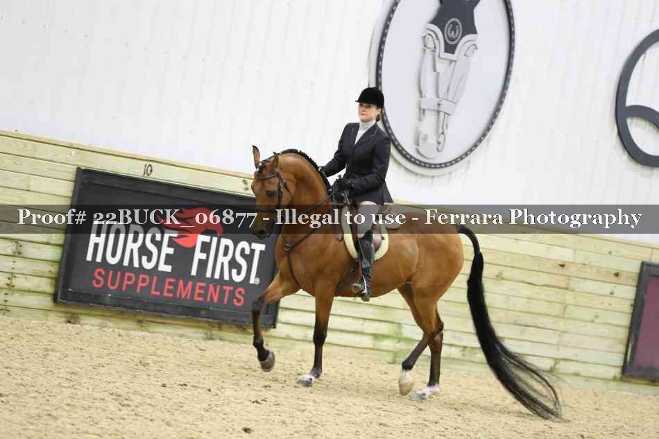 Proof 22BUCK_06877