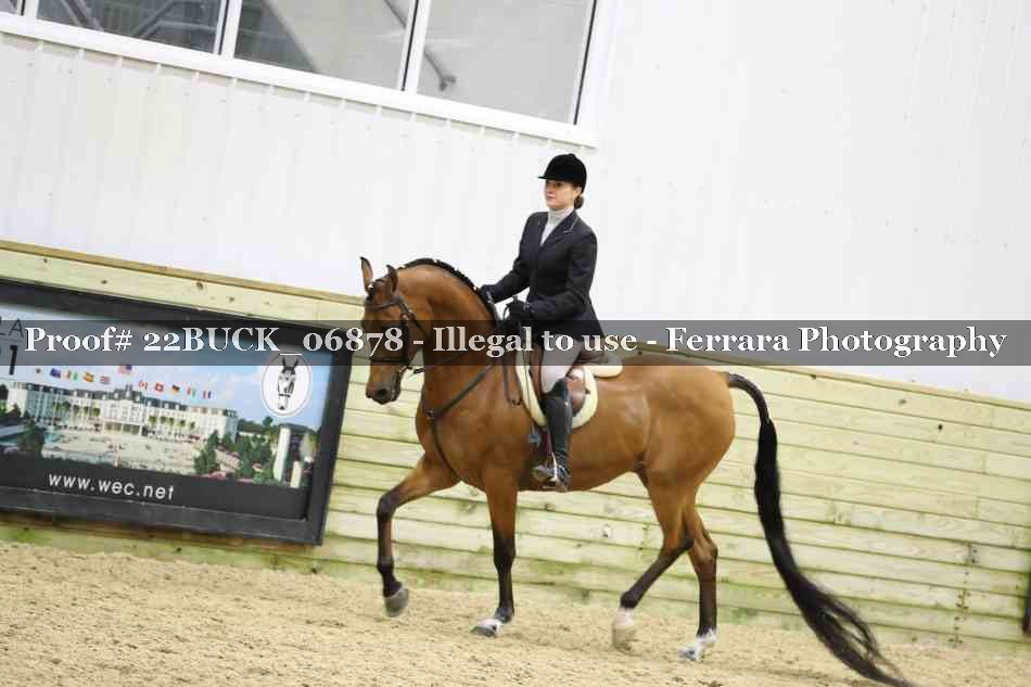Proof 22BUCK_06878