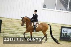 22BUCK_06879 proof