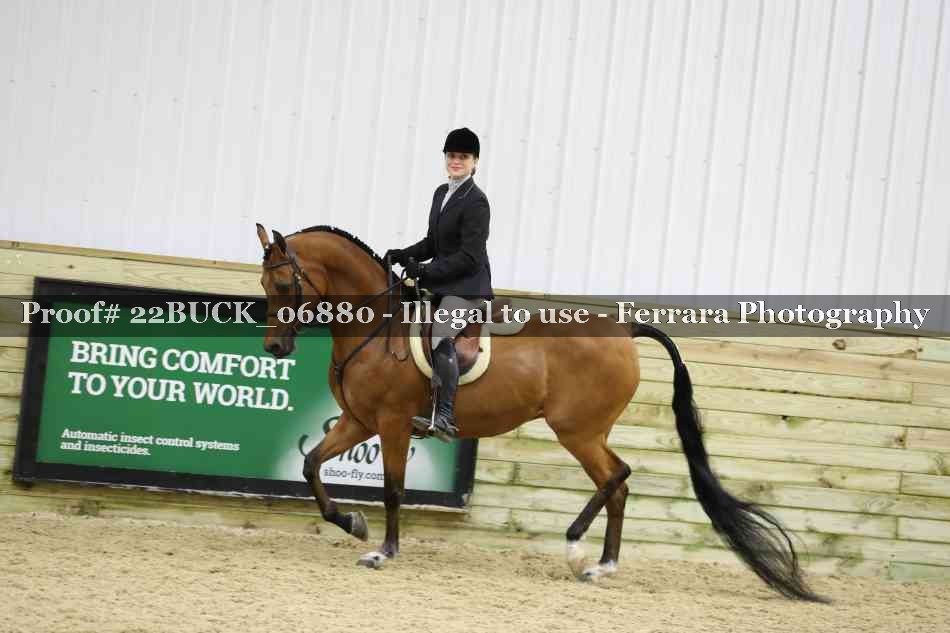 Proof 22BUCK_06880