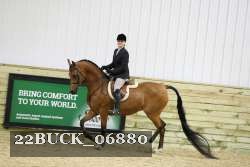 22BUCK_06880 proof