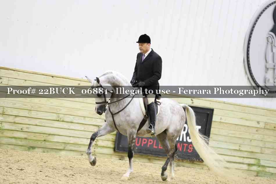 Proof 22BUCK_06881