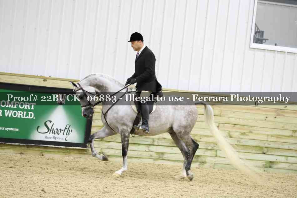 Proof 22BUCK_06883