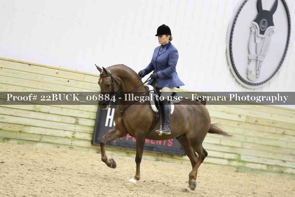 Proof 22BUCK_06884